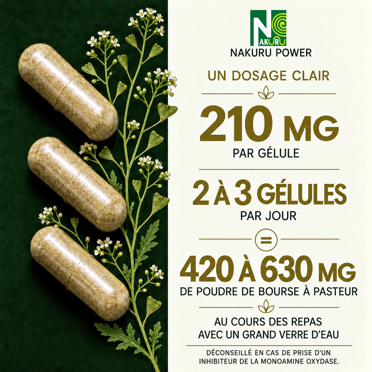 NAKURU Bourse à Pasteur — 500 gélules — Dosage