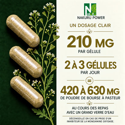 NAKURU Bourse à Pasteur — 500 gélules — Dosage