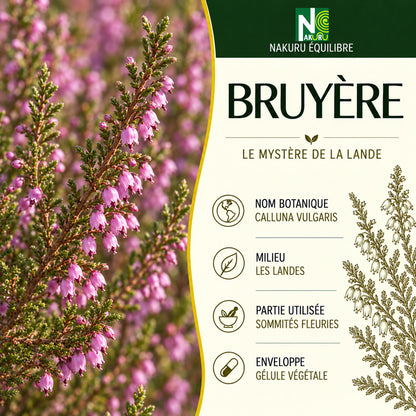 NAKURU Bruyère — 500 gélules — Présentation