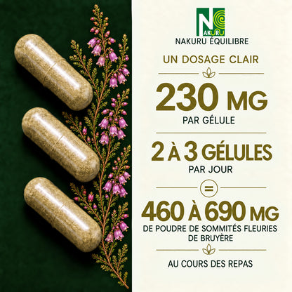 NAKURU Bruyère — 500 gélules — Dosage