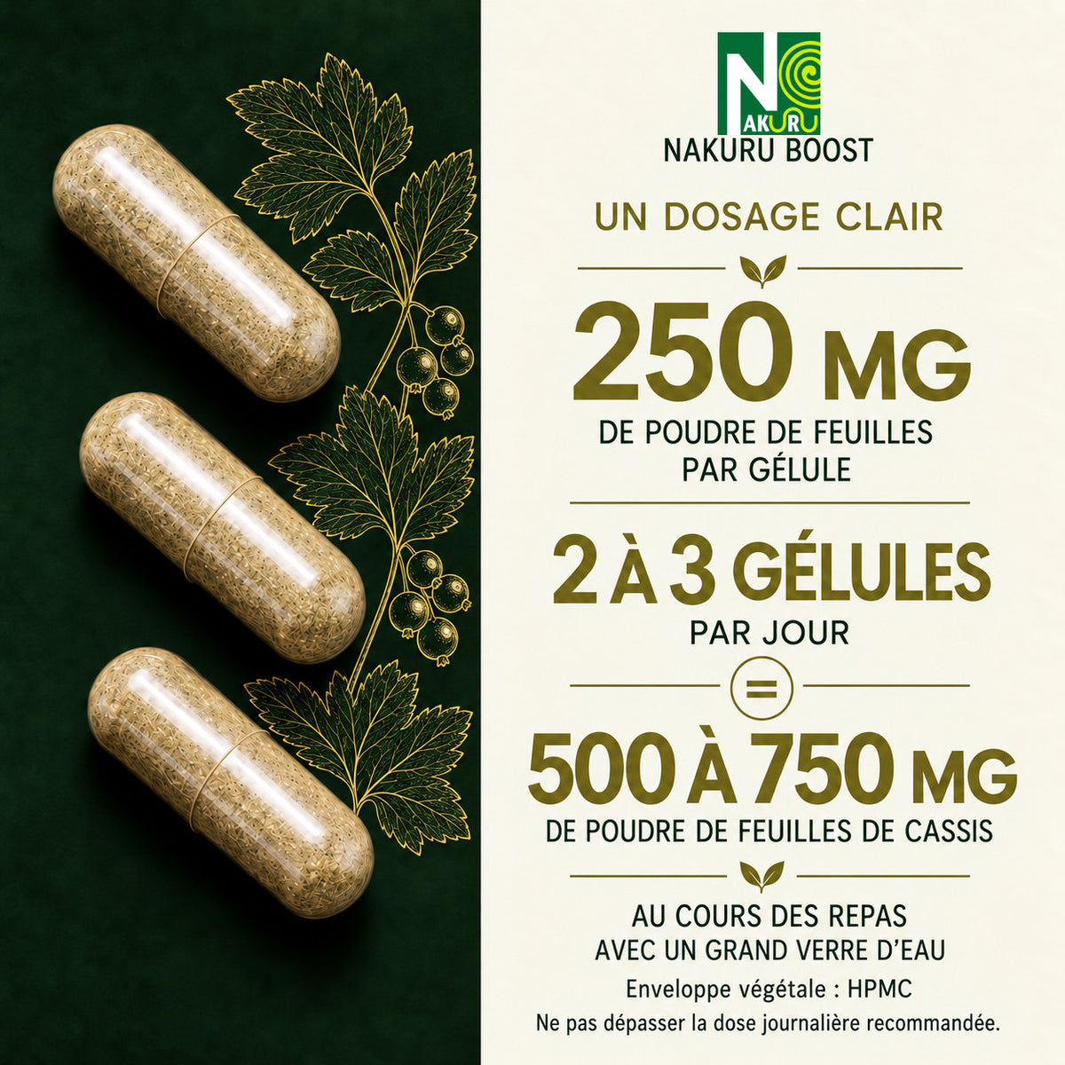NAKURU Cassis — 500 gélules — Dosage