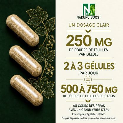NAKURU Cassis — 500 gélules — Dosage