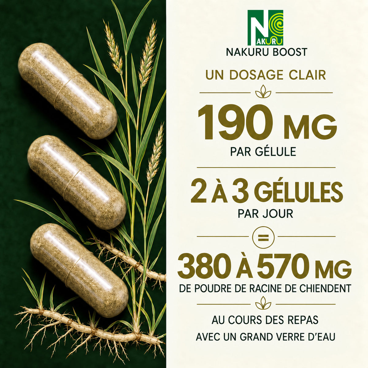 NAKURU Chiendent — 500 gélules — Dosage