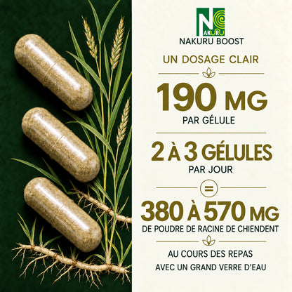NAKURU Chiendent — 500 gélules — Dosage