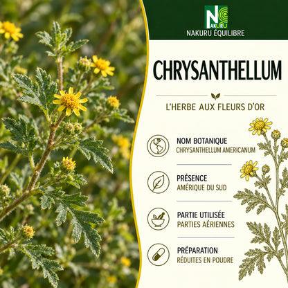 NAKURU Chrysanthellum — 500 gélules — Présentation