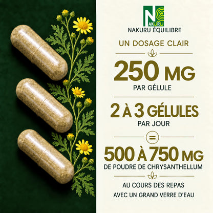 NAKURU Chrysanthellum — 500 gélules — Dosage