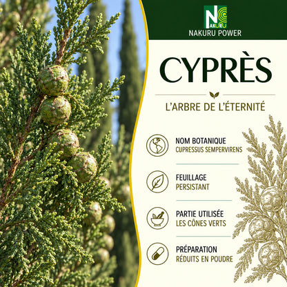 NAKURU Cyprès — 500 gélules — Présentation