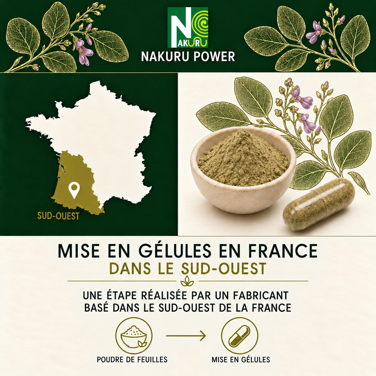 NAKURU Desmodium — 500 gélules — Fabrication
