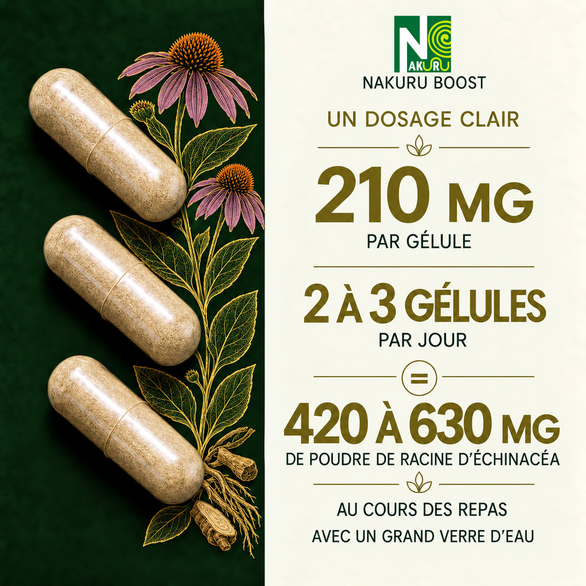 NAKURU Echinacéa — 500 gélules — Dosage