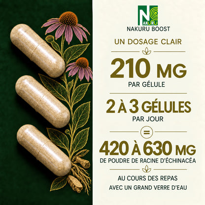 NAKURU Echinacéa — 500 gélules — Dosage