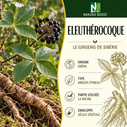 NAKURU Eleuthérocoque — 500 gélules — Présentation