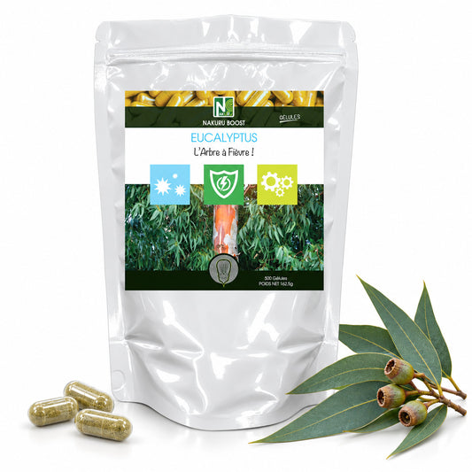 NAKURU Eucalyptus — 500 gélules — Packshot