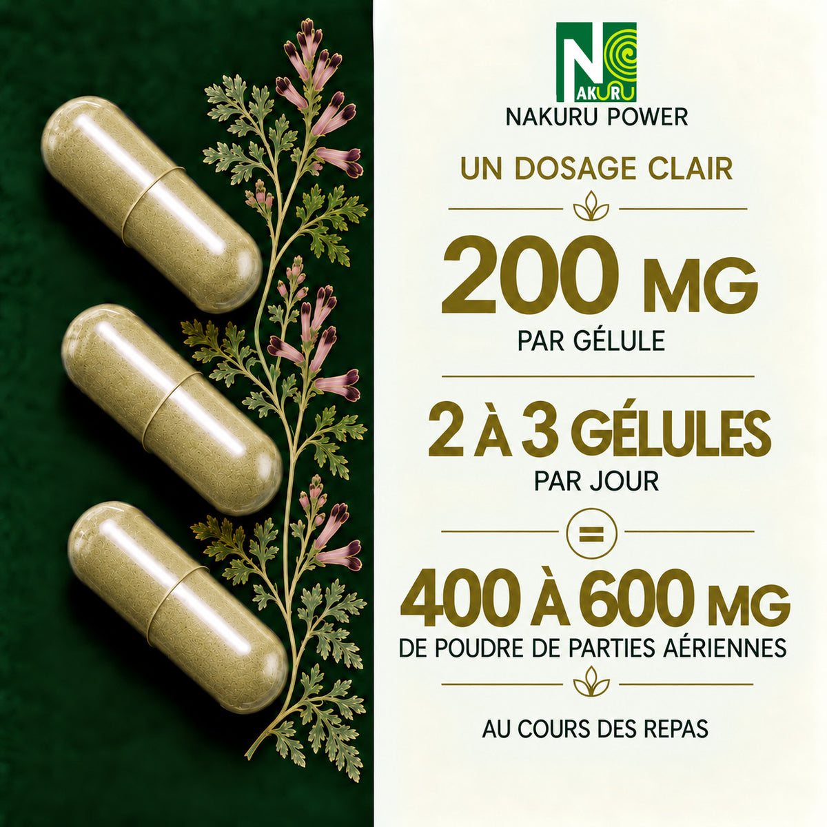 NAKURU Fumeterre — 500 gélules — Dosage