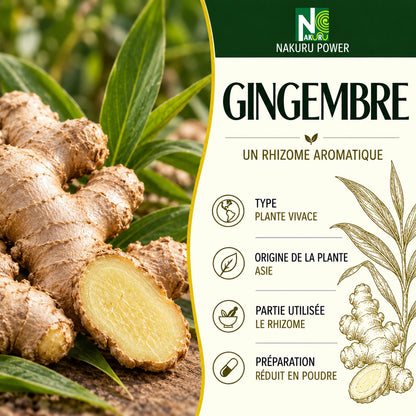 NAKURU Gingembre — 500 gélules — Présentation
