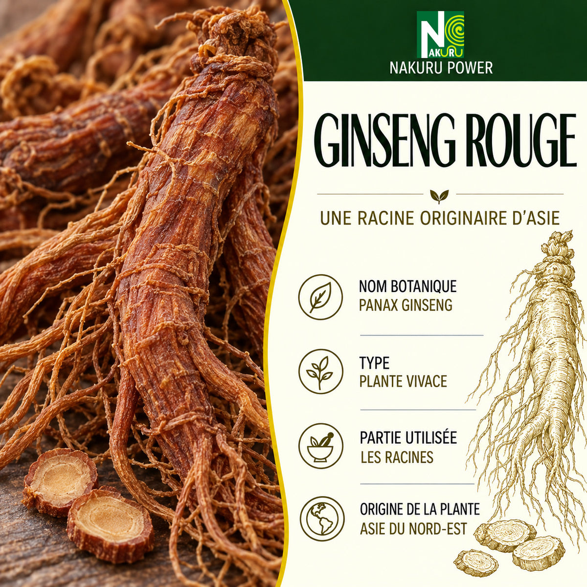 NAKURU Ginseng Rouge — 60 gélules — Présentation
