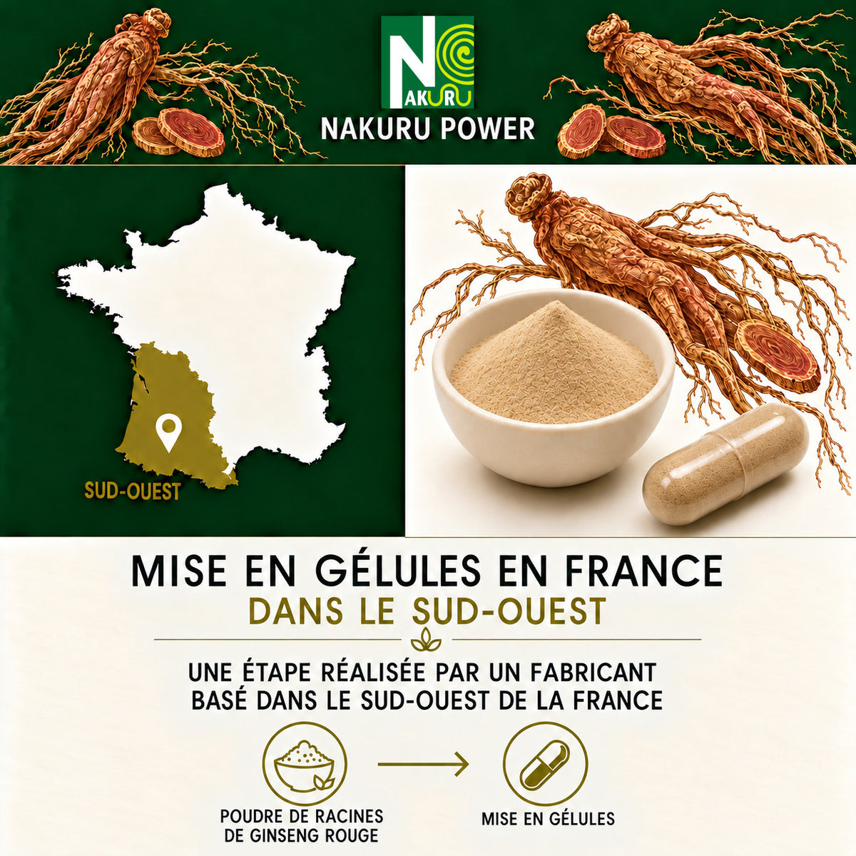 NAKURU Ginseng Rouge — 60 gélules — Fabrication