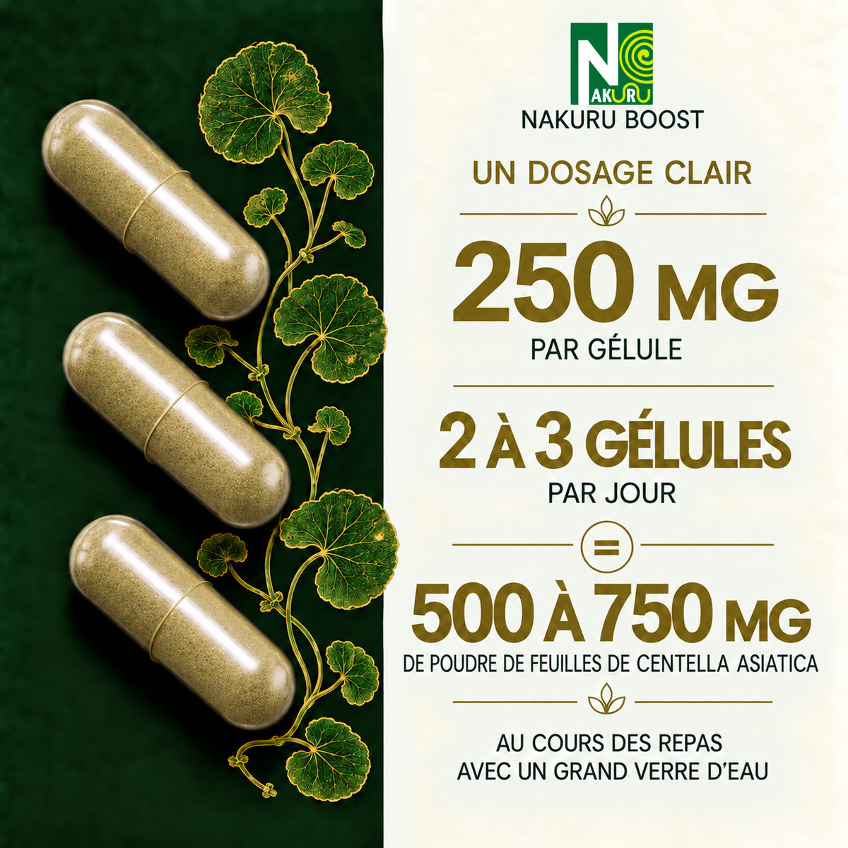 NAKURU Gotu Kola — 500 gélules — Dosage