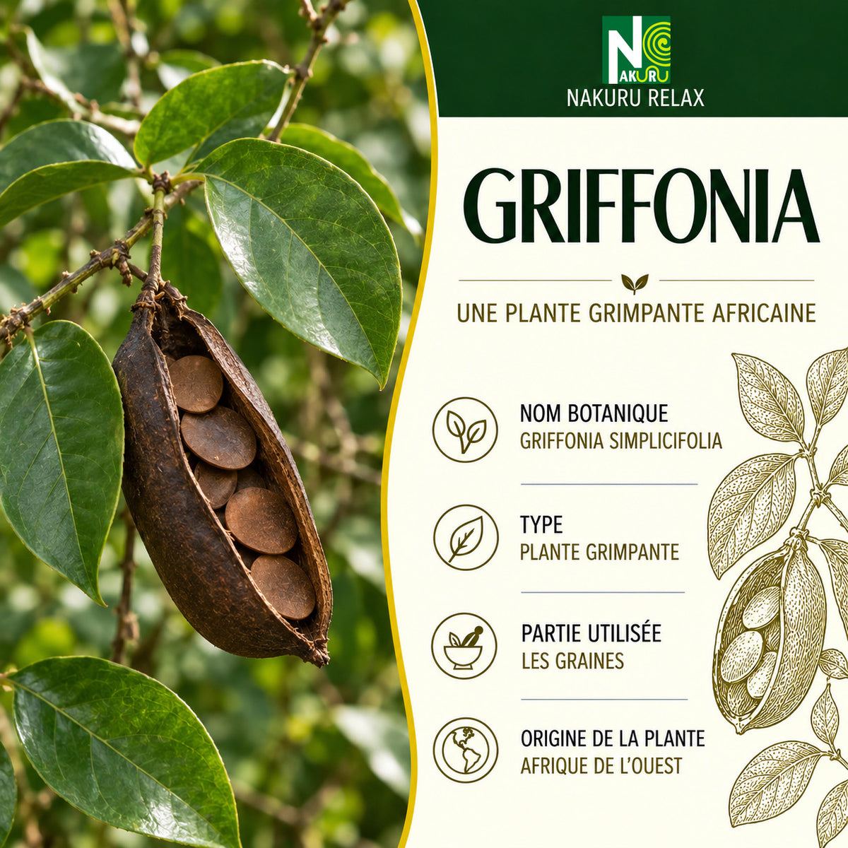 NAKURU Griffonia — 360 gélules — Présentation