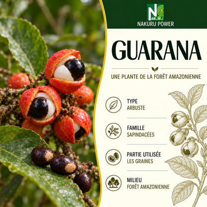 NAKURU Guarana — 500 gélules — Présentation