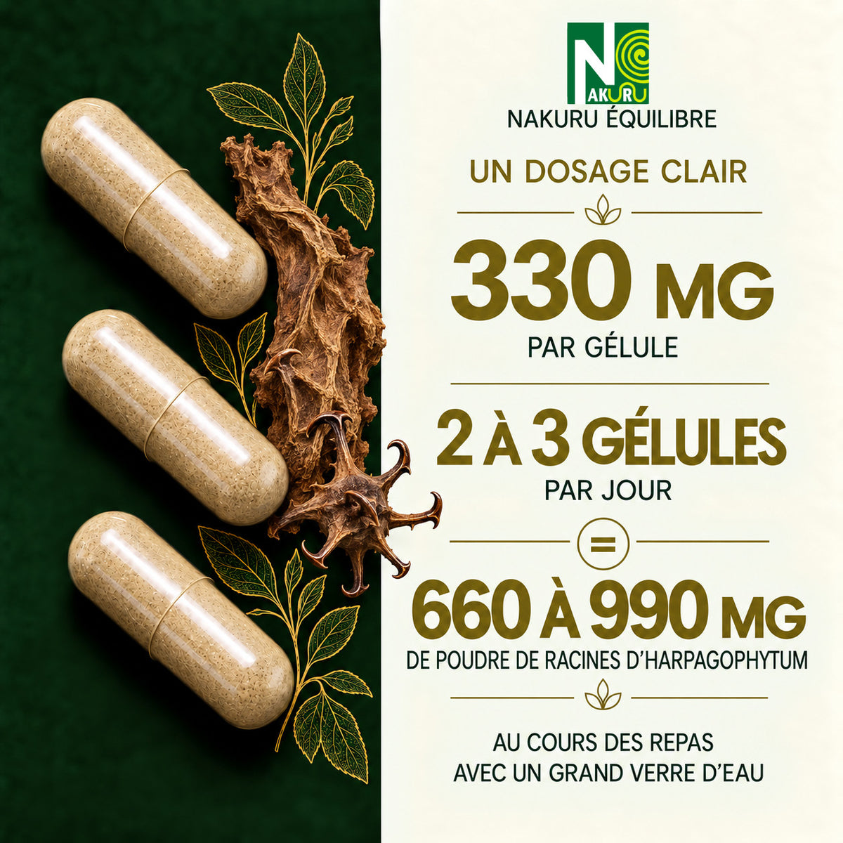 NAKURU Harpagophytum — 500 gélules — Dosage