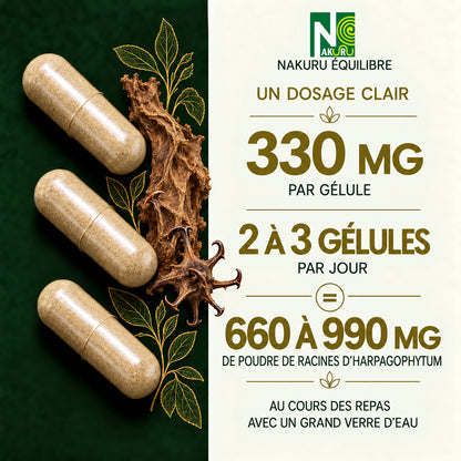 NAKURU Harpagophytum — 500 gélules — Dosage