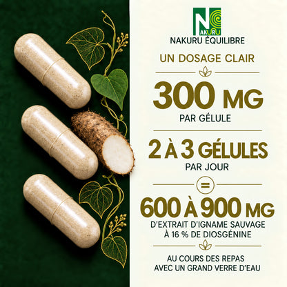 NAKURU Igname Sauvage — 500 gélules — Dosage