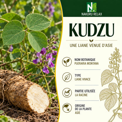 NAKURU Kudzu — 500 gélules — Présentation