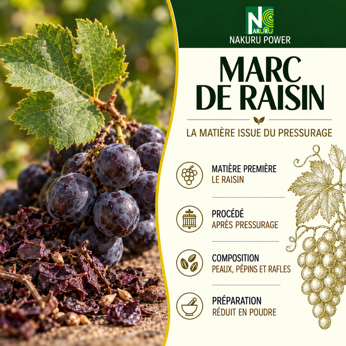 NAKURU Marc de Raisin — 500 gélules — Présentation