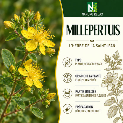 NAKURU Millepertuis — 500 gélules — Présentation
