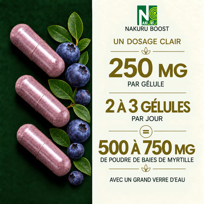NAKURU Myrtille — 500 gélules — Dosage