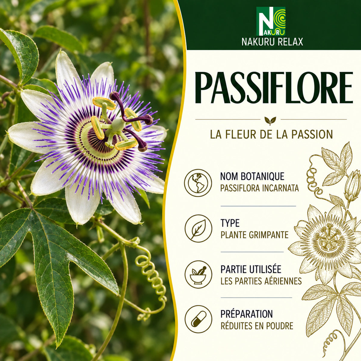 NAKURU Passiflore — 500 gélules — Présentation