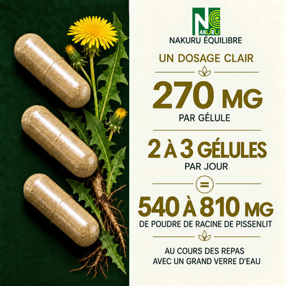NAKURU Pissenlit — 500 gélules — Dosage