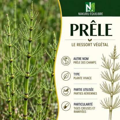 NAKURU Prêle — 500 gélules — Présentation