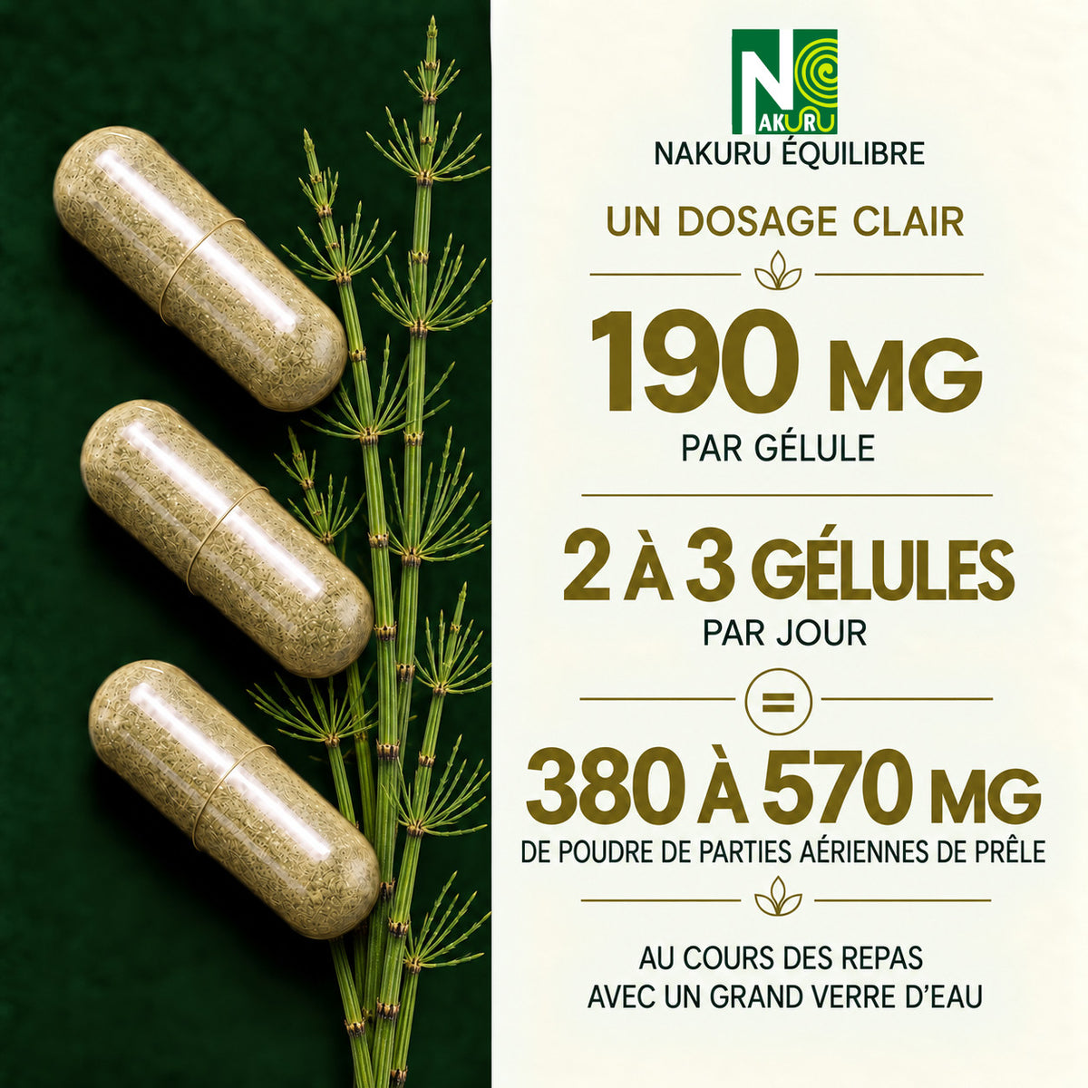 NAKURU Prêle — 500 gélules — Dosage