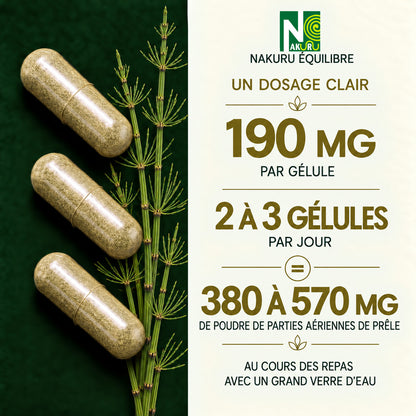NAKURU Prêle — 500 gélules — Dosage