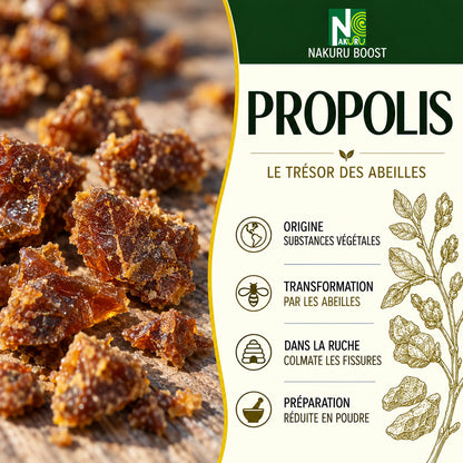 NAKURU Propolis — 500 gélules — Présentation