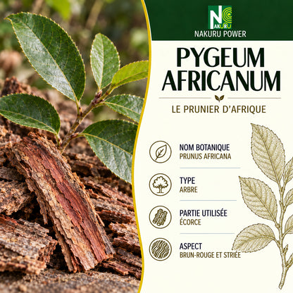NAKURU Pygeum Africanum — 500 gélules — Présentation