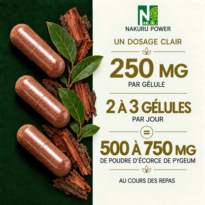 NAKURU Pygeum Africanum — 500 gélules — Dosage