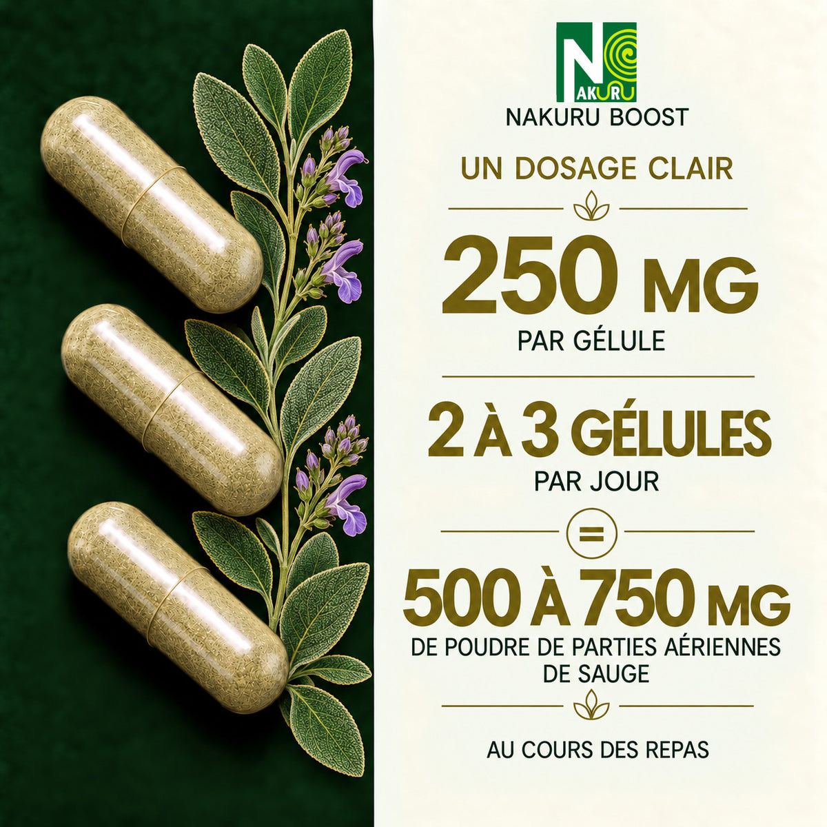 NAKURU Sauge — 500 gélules — Dosage