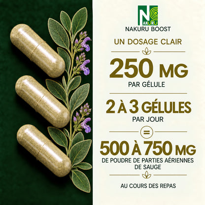 NAKURU Sauge — 500 gélules — Dosage