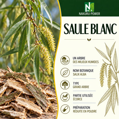 NAKURU Saule Blanc — 500 gélules — Présentation