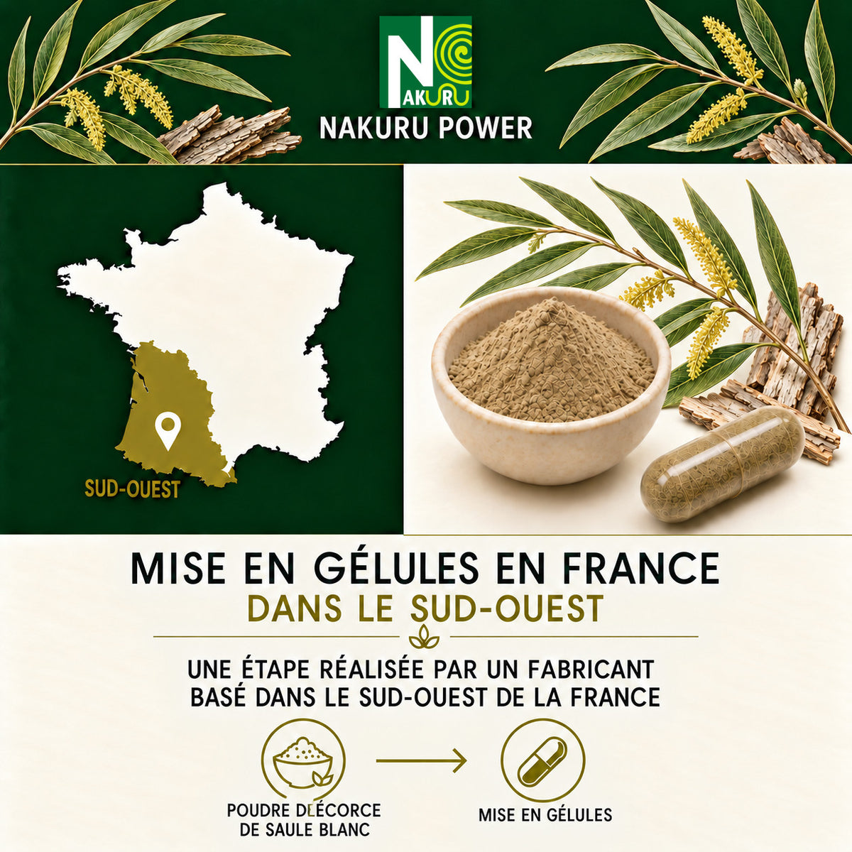 NAKURU Saule Blanc — 500 gélules — Fabrication
