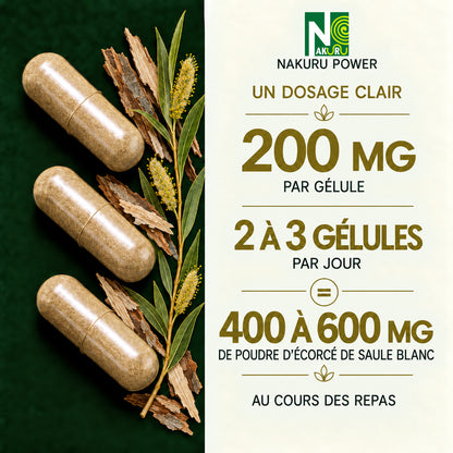 NAKURU Saule Blanc — 500 gélules — Dosage
