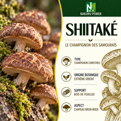 NAKURU Shiitaké — 120 gélules — Présentation