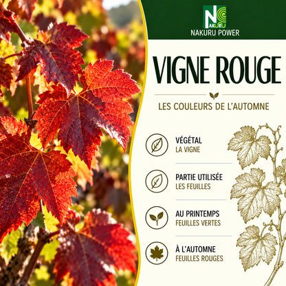 NAKURU Vigne Rouge — 500 gélules — Présentation