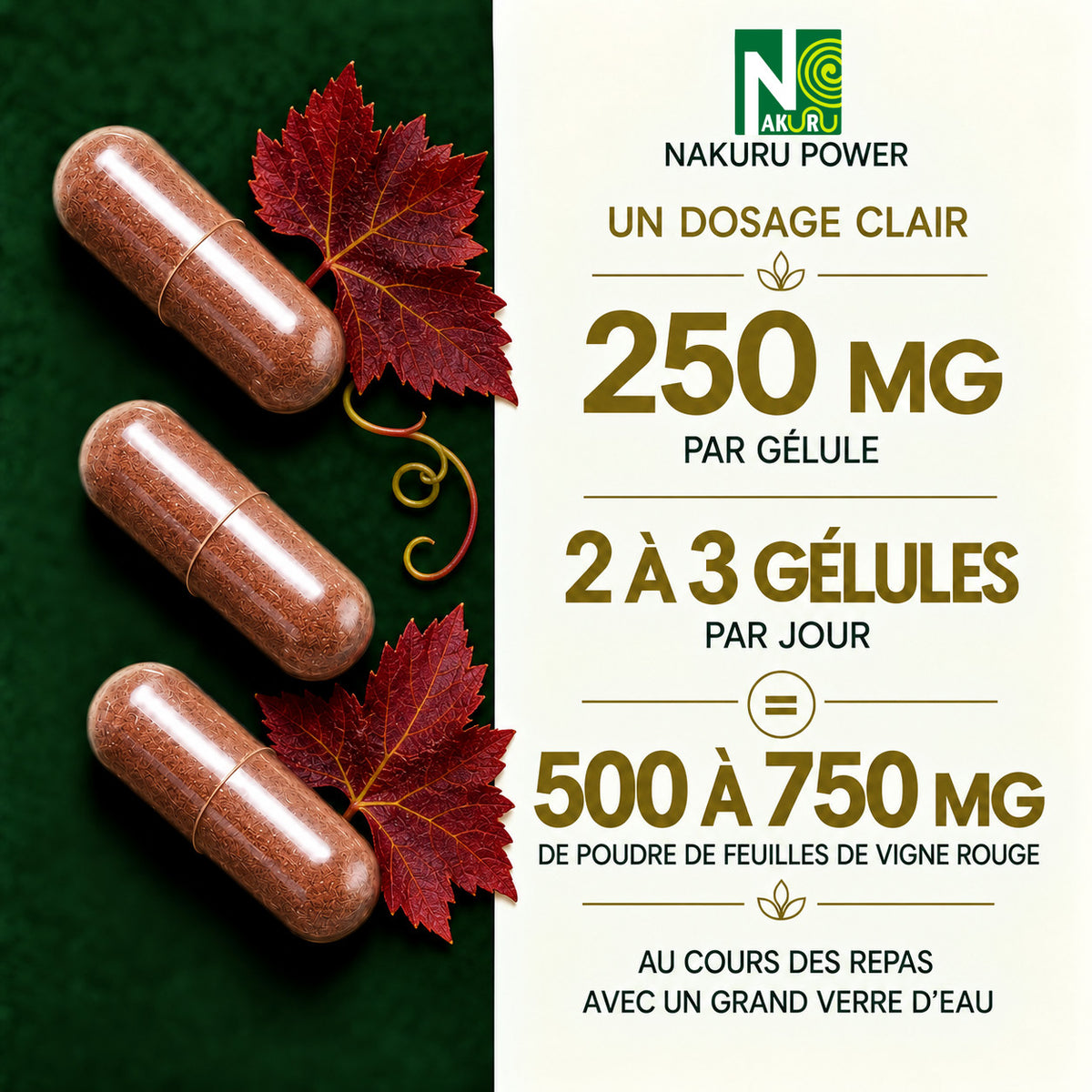 NAKURU Vigne Rouge — 500 gélules — Dosage