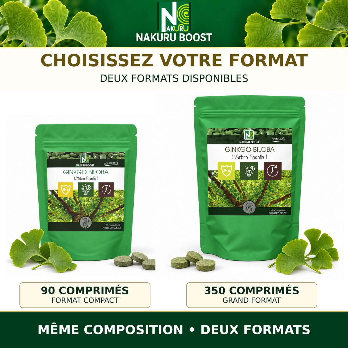 NAKURU Ginkgo Biloba — 350 comprimés — Comparatif des formats