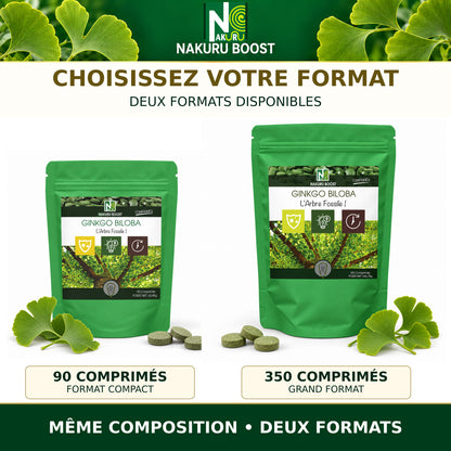 NAKURU Ginkgo Biloba — 350 comprimés — Comparatif des formats