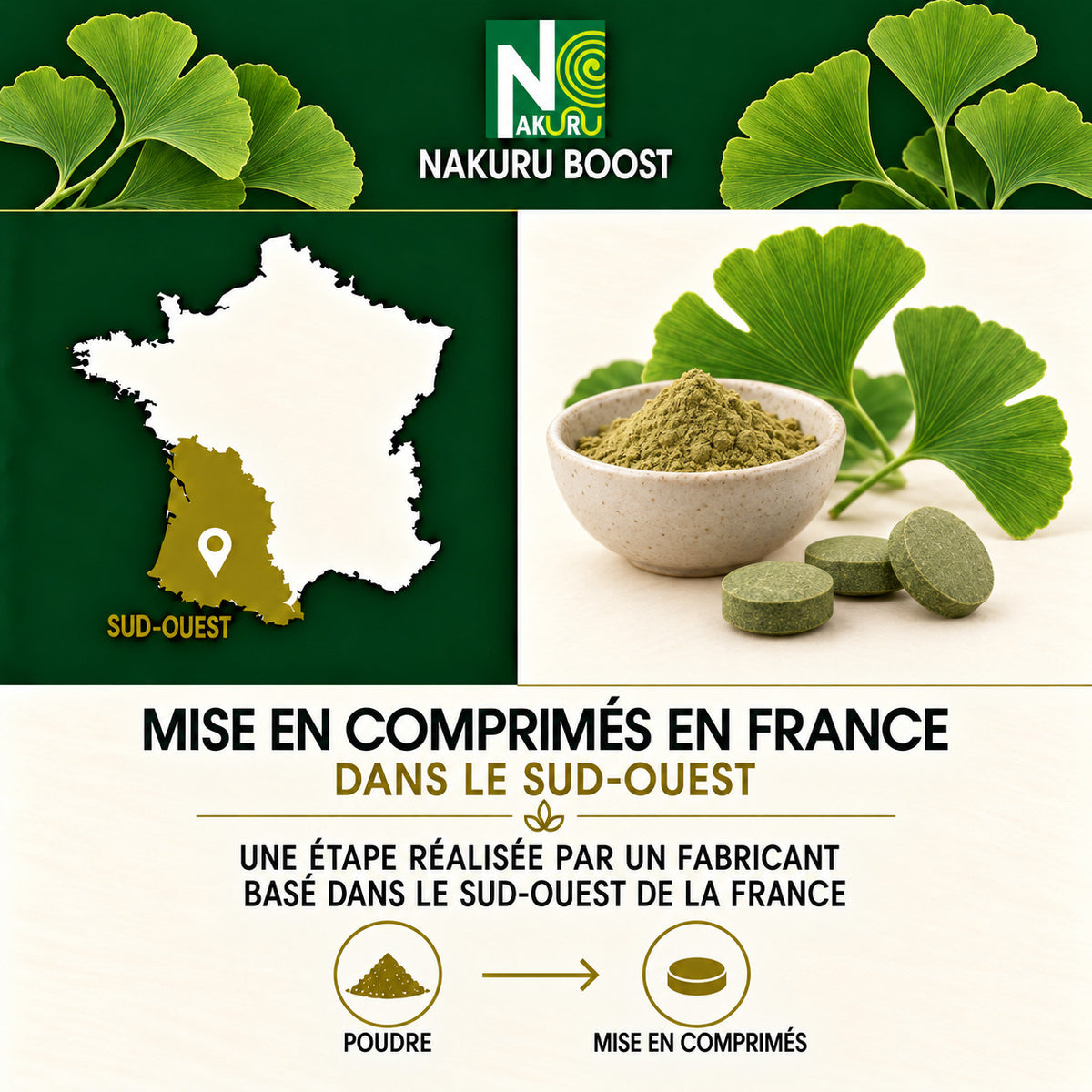 NAKURU Ginkgo Biloba — 350 comprimés — Fabrication
