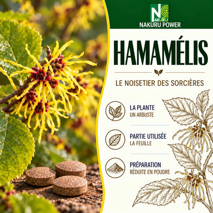 NAKURU Hamamélis — 90 comprimés — Présentation